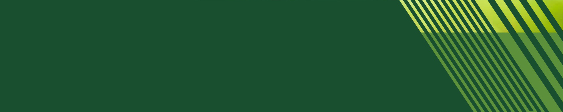 The Intuitive Universe